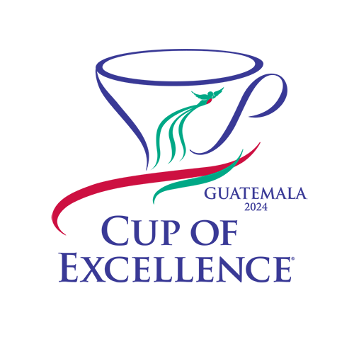 Guatemala 2024 Alliance For Coffee Excellence