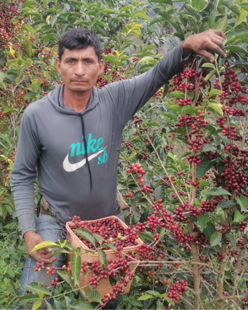 ernesto-menedez-el-salvador