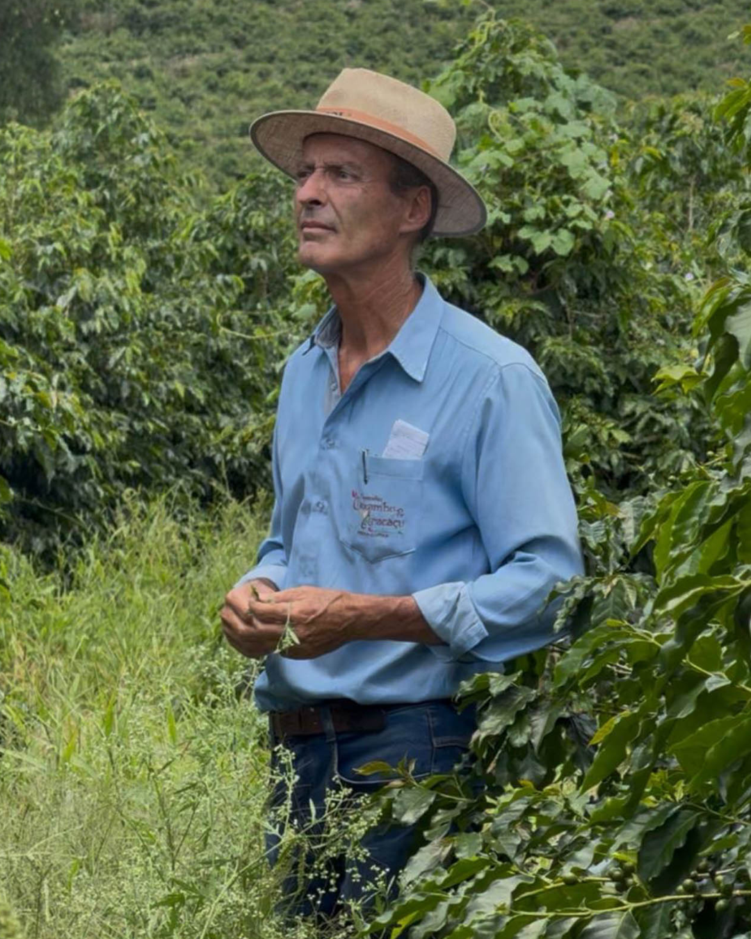 Paulo Fernando Chaves De Brito – Fazenda Aracaçu