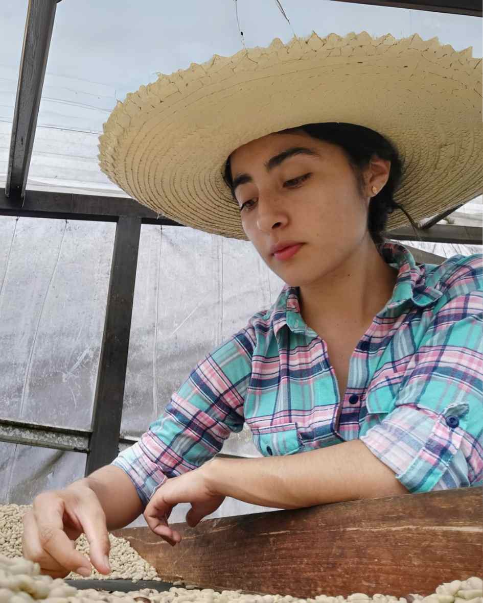 Enrique Mena Gutierrez