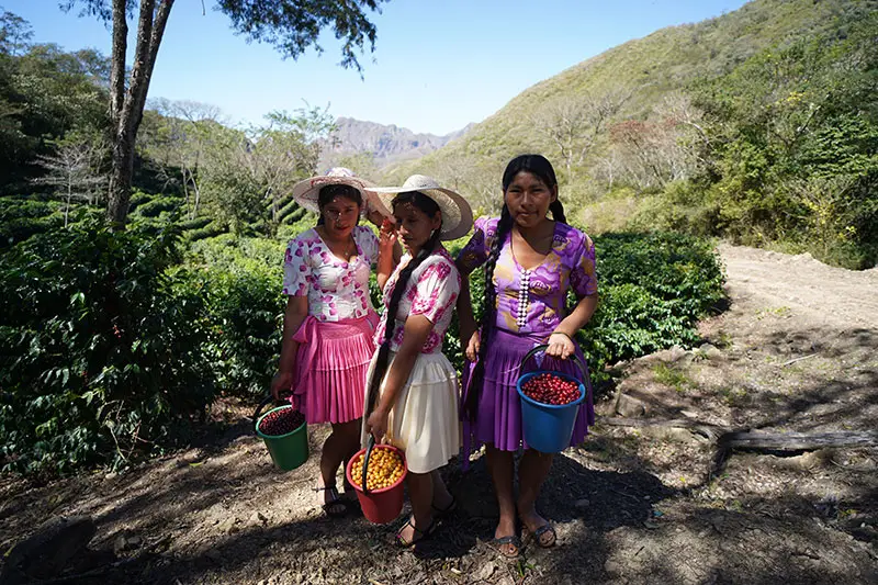 Nestled in the heart of Bolivia's lush coffee-growing regions, Los Rodriguez coffee farm