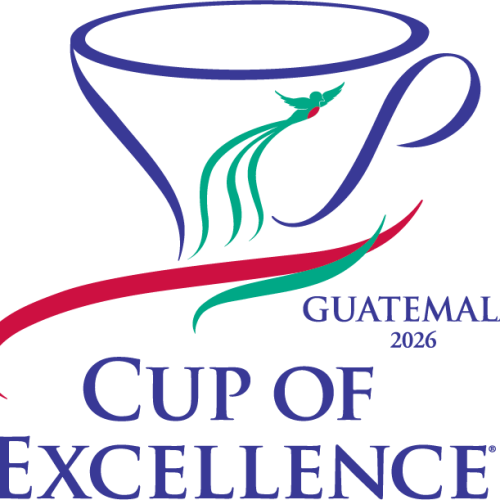Guatemala - COE Sample Set + Auction 2026