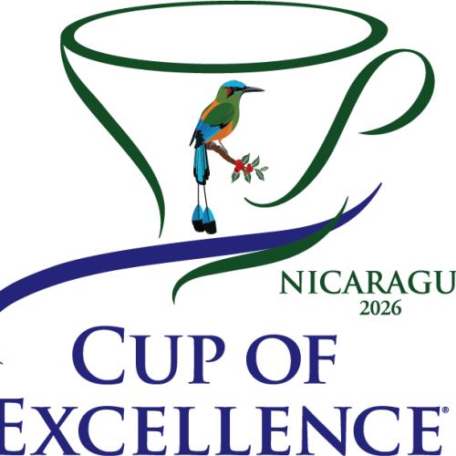 Nicaragua - COE Auction Only 2026