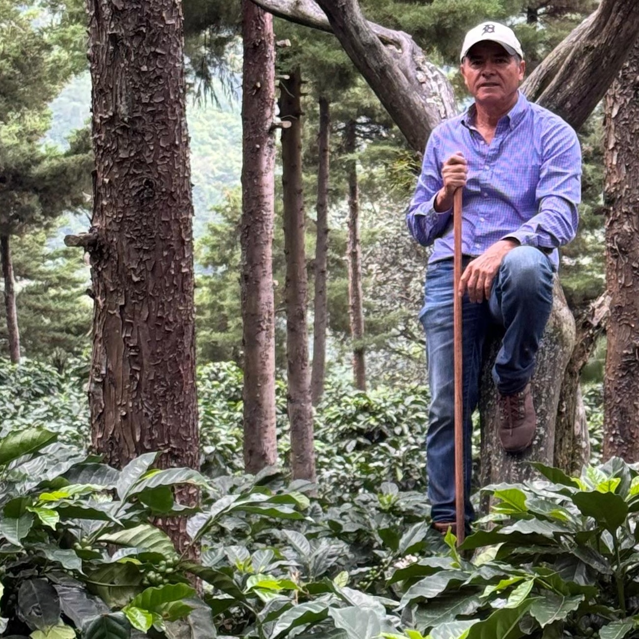 José Roberto Monterroso