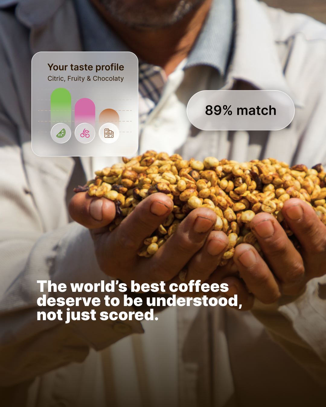 Siip x Cup of Excellence partnership