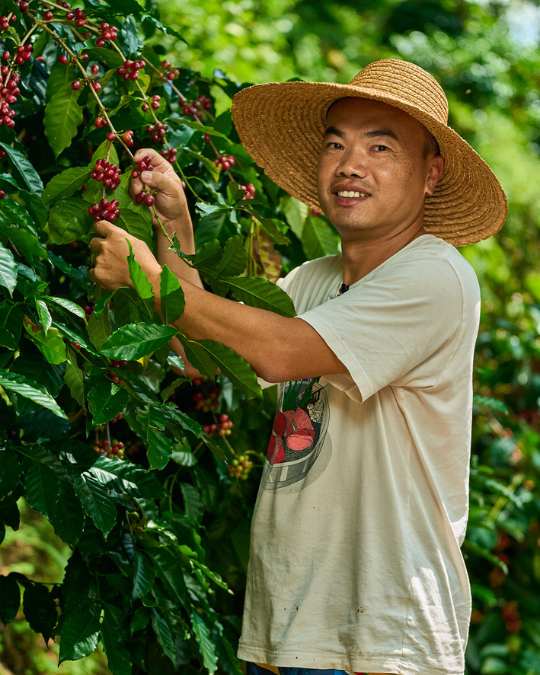 曾福森 Tseng, Fu-Sen